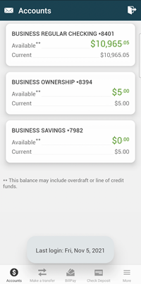 generic home screen in mobile banking
